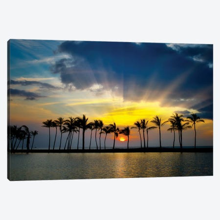Tropical Pond Sunset Canvas Print #DEN373} by Dennis Frates Canvas Wall Art
