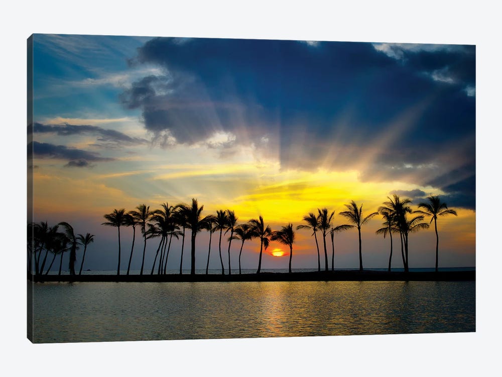 Tropical Pond Sunset by Dennis Frates 1-piece Canvas Wall Art
