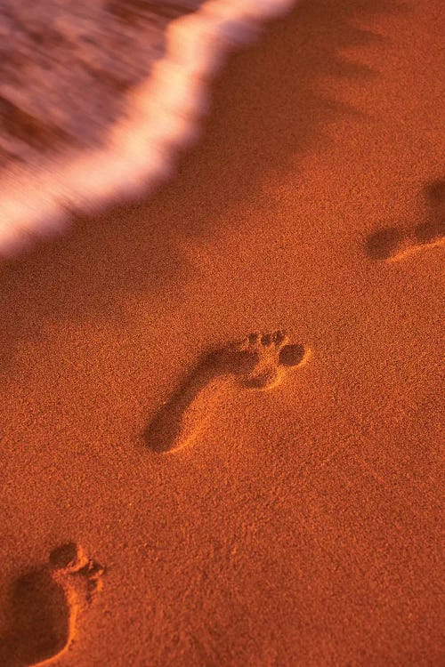 Beach Path by Dennis Frates wall art