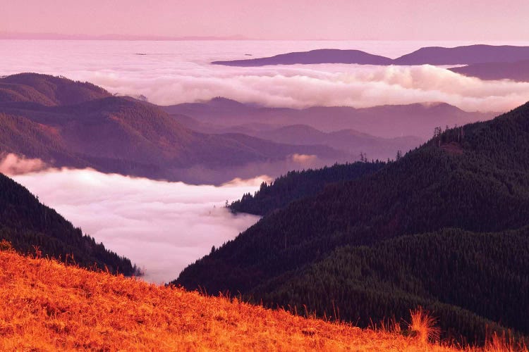 Valley Fog
