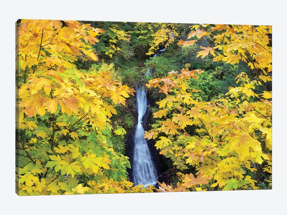 Waterfall Frame by Dennis Frates 1-piece Canvas Wall Art