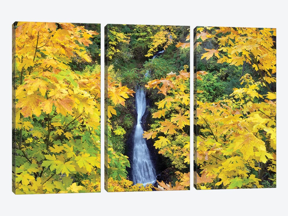 Waterfall Frame by Dennis Frates 3-piece Canvas Artwork