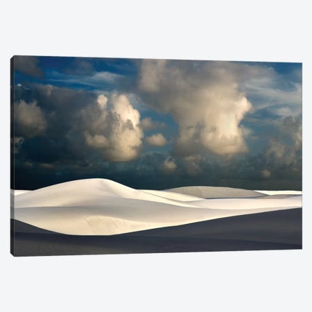 White Sands Canvas Print #DEN392} by Dennis Frates Canvas Art