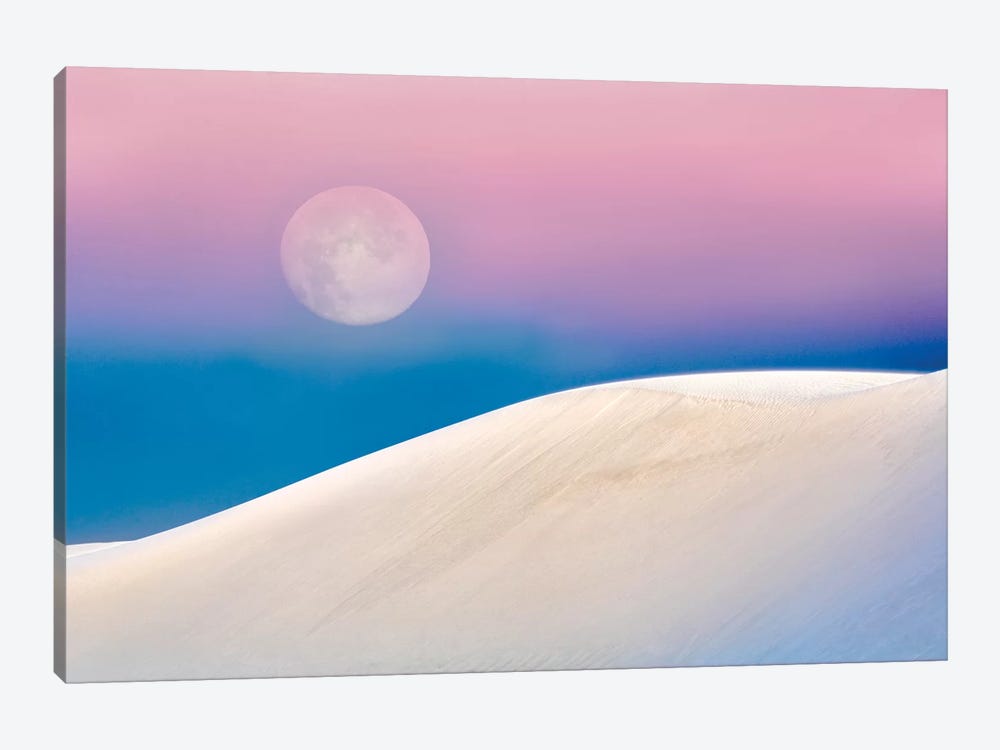 White Sands Moon by Dennis Frates 1-piece Canvas Art