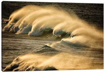 Wind Blown Wave Canvas Art Print - Dennis Frates