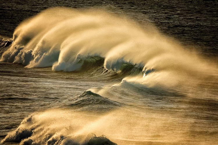 Wind Blown Wave