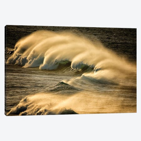 Wind Blown Wave Canvas Print #DEN398} by Dennis Frates Canvas Wall Art