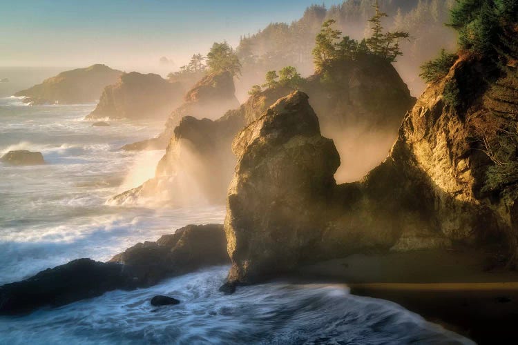 Boardman Coast by Dennis Frates wall art