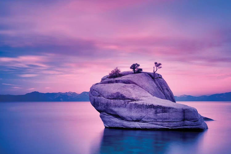 Bonsai Rock