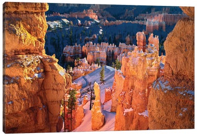 Bryce Pinnacles Canvas Art Print - Bryce Canyon National Park