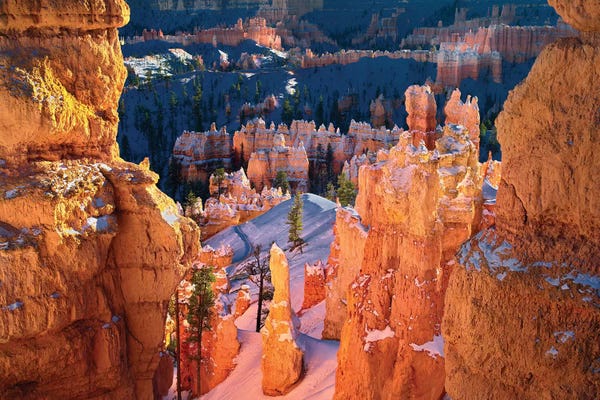 Utah: Bryce Pinnacles by Dennis Frates