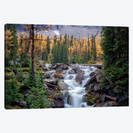 Canadian Falls Canvas Print #DEN51} by Dennis Frates Canvas Wall Art