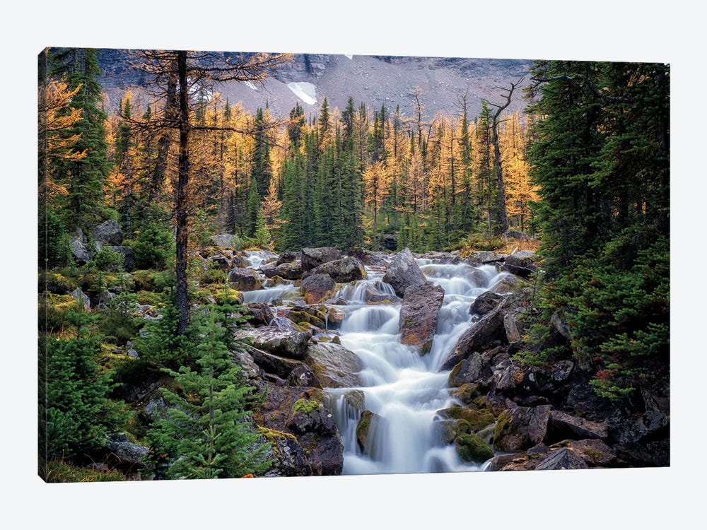 Canadian Falls by Dennis Frates 1-piece Canvas Wall Art