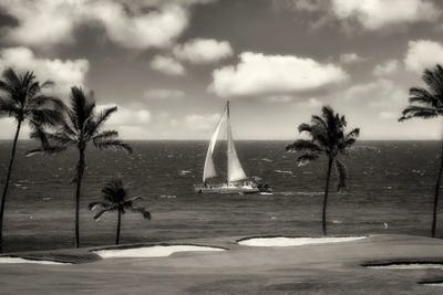 Tropical Sail by Dennis Frates canvas print