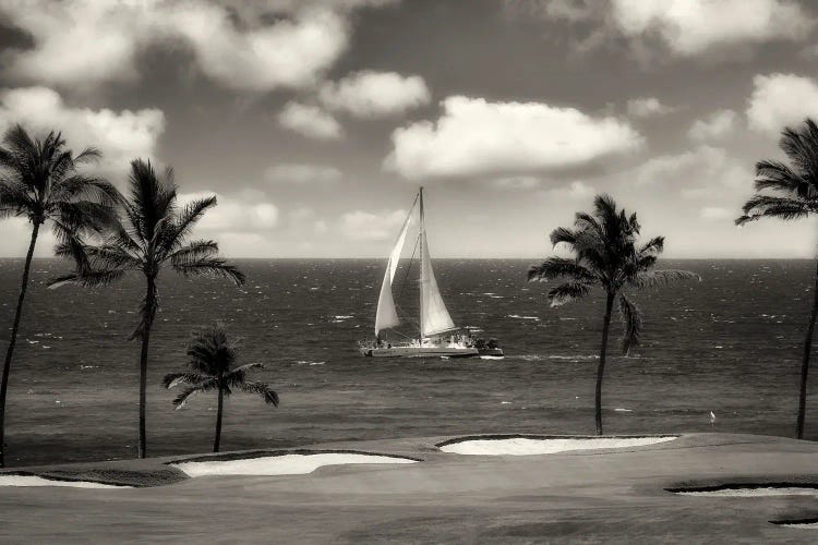 Tropical Sail by Dennis Frates wall art