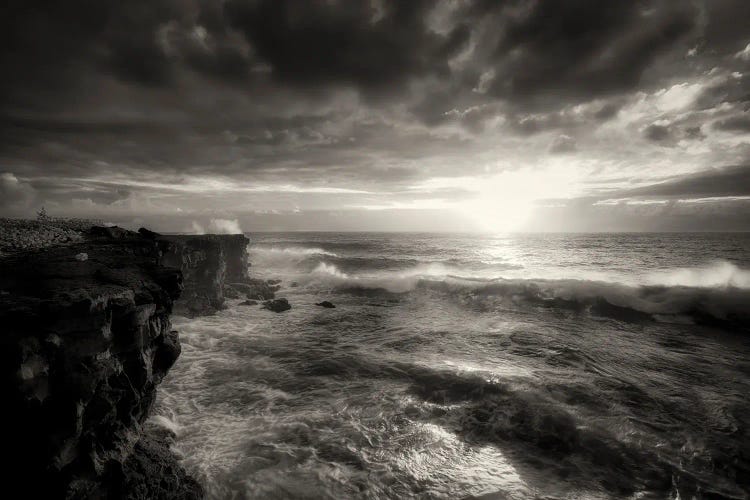 Oceanas Fury by Dennis Frates wall art