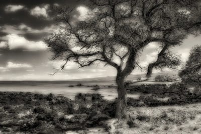 Bye The Seashore by Dennis Frates canvas print