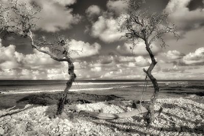 Tropical Swing by Dennis Frates canvas print