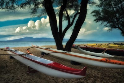 Ready To Launch by Dennis Frates canvas print
