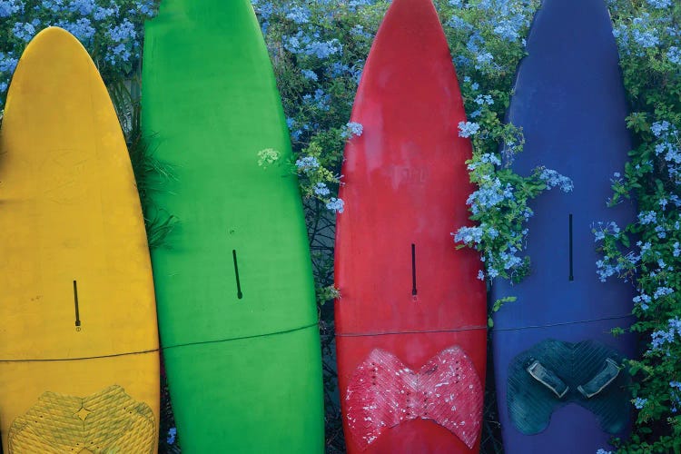 Surfboards And Flowers by Dennis Frates wall art
