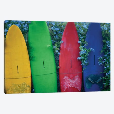 Surfboards And Flowers Canvas Print #DEN610} by Dennis Frates Art Print