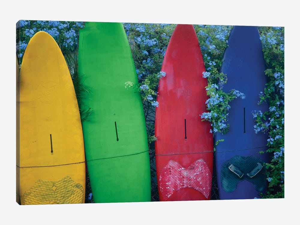 Surfboards And Flowers by Dennis Frates 1-piece Art Print