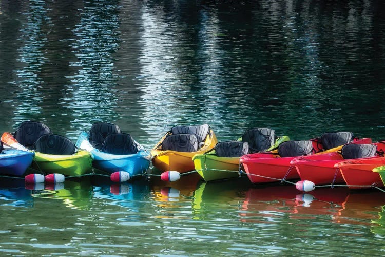 Canoe Lineup