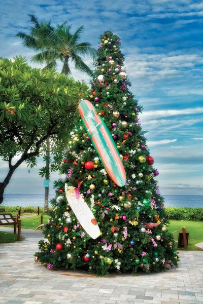 Coastal Christmas: Tropical Christmas Tree by Dennis Frates