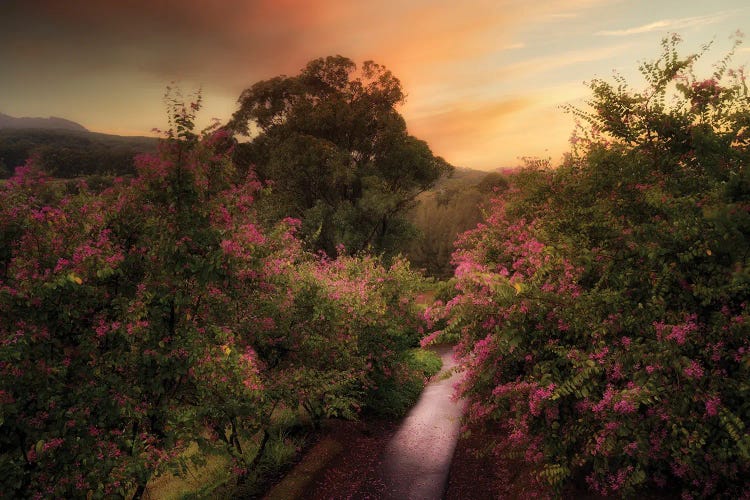 Painterly Road