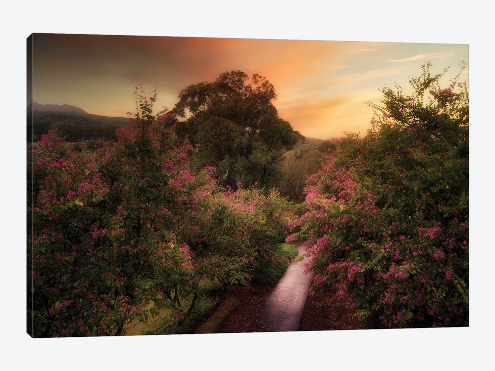 Painterly Road by Dennis Frates 1-piece Canvas Wall Art