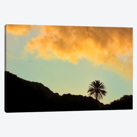 Lone Palm Sunset Canvas Print #DEN629} by Dennis Frates Canvas Artwork