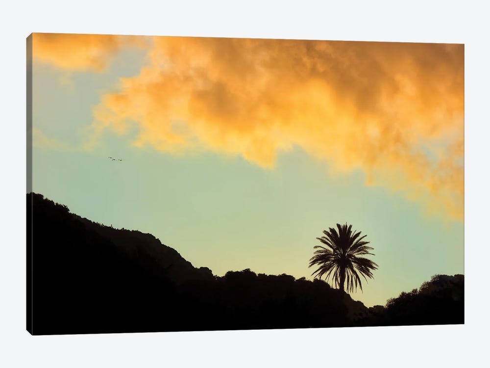 Lone Palm Sunset by Dennis Frates 1-piece Canvas Print