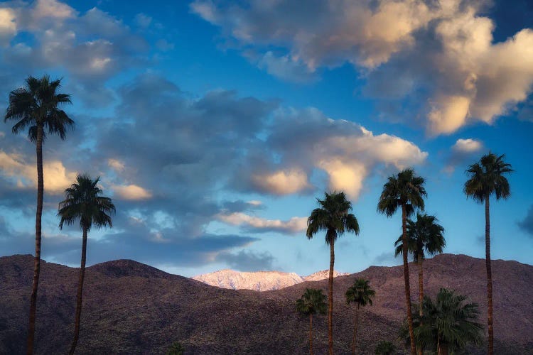 Palm Desert Snowfall I by Dennis Frates wall art