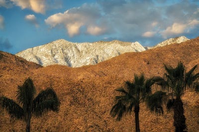Palm Desert Snowfall II by Dennis Frates canvas print