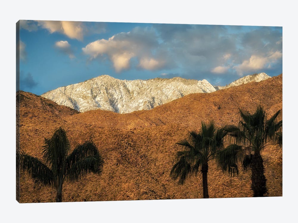 Palm Desert Snowfall II by Dennis Frates 1-piece Canvas Art