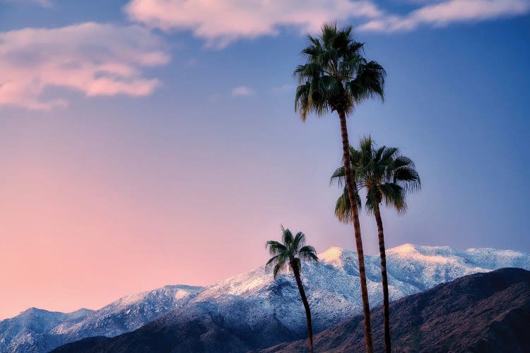 Palm Desert Snowfall III by Dennis Frates wall art