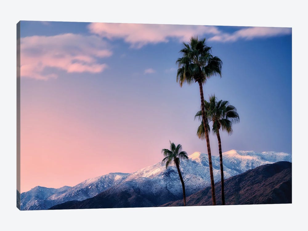 Palm Desert Snowfall III by Dennis Frates 1-piece Canvas Print