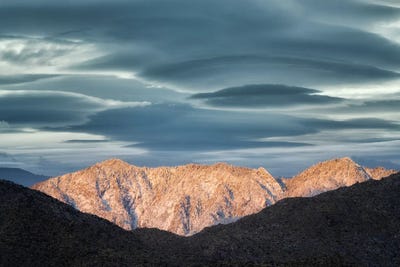 Palm Desert Snowfall IV by Dennis Frates canvas print