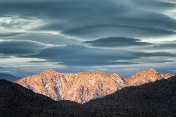 Palm Desert Snowfall IV