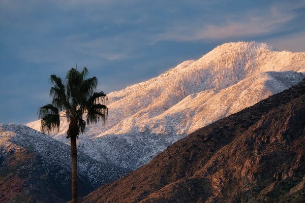 Palm Desert Snowfall V