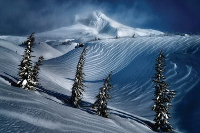 Hood Winter by Dennis Frates canvas print