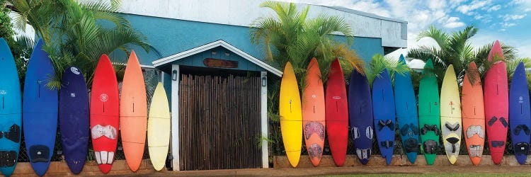 Surfboard Pano by Dennis Frates wall art