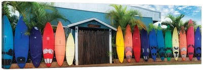 Surfboard Pano Canvas Art Print