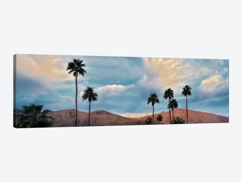 Palm Desert Snowfall VI by Dennis Frates 1-piece Canvas Artwork