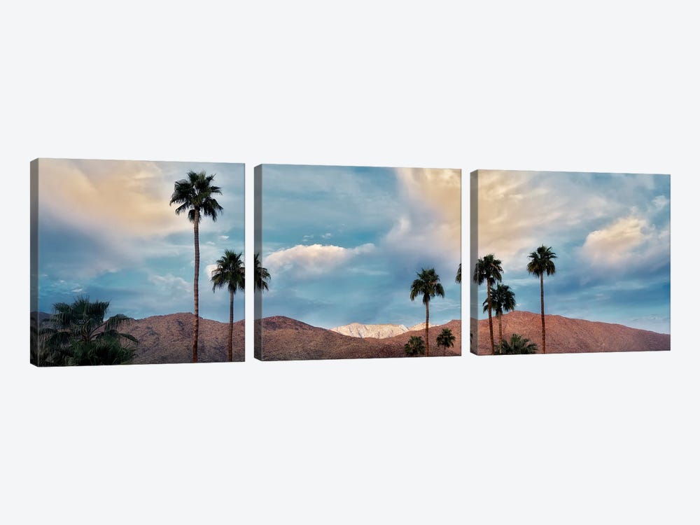 Palm Desert Snowfall VI by Dennis Frates 3-piece Canvas Art