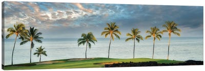 Golf Course Sunrise Canvas Art Print - Palm Tree Art