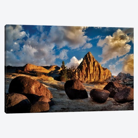 Capitol Reef Boulders Canvas Print #DEN64} by Dennis Frates Canvas Wall Art