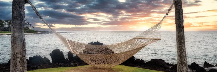 Tropical Hammock