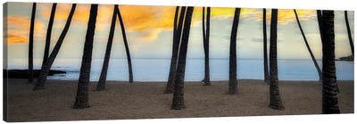 Palm Beach Canvas Art Print - Tropical Beach Art