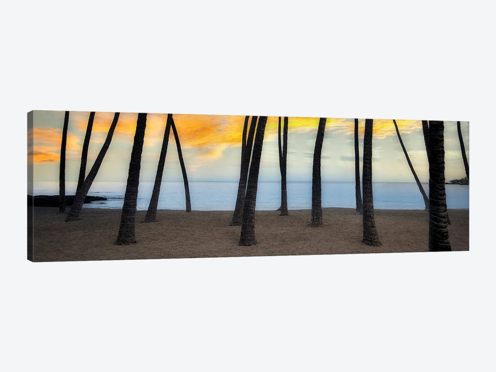 Palm Beach by Dennis Frates 1-piece Canvas Print